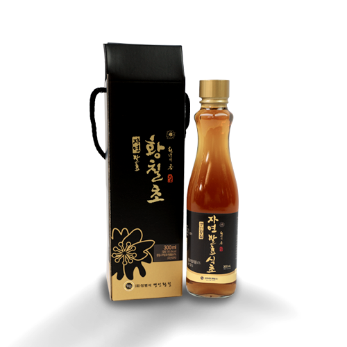 황칠 건강 성분의 비밀