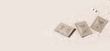 천년의 보물 황칠나무