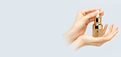 진시황 불로초 황칠